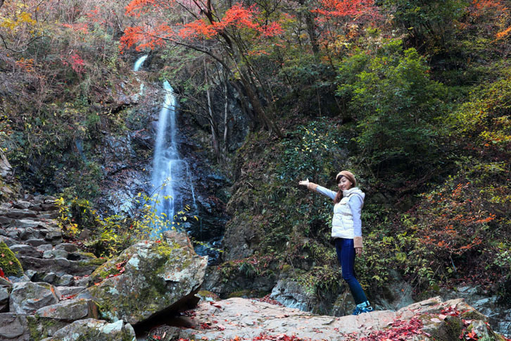 以前から一度訪れてみたかった桧原村。今回のドライブのゴールはこちらです。写真の「払沢（ほっさわ）の滝」は、東京都で唯一、“日本の滝百選”に選ばれている落差60mほどの滝。紅葉が見られるシーズンは、道中の景色も楽しめます。最寄りの駐車場から徒歩15分くらいで行けるので、おすすめです。
